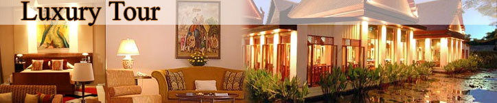 Luxury our Packages