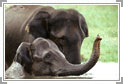 Periyar National Park Weekend Tour