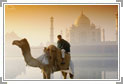 Wildlife with Taj Mahal & Birds