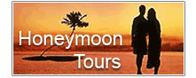 Honeymoon Tours in India
