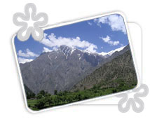 Mnali, Honeymoon Tour